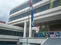 Fotos EmbaCuba Mexico - Listones Amarillos Solidaridad (2)