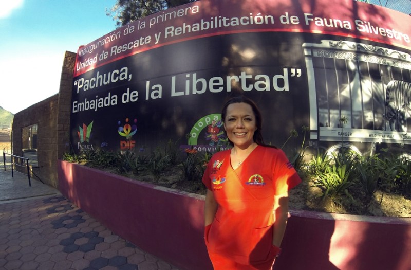 Erika Ortigoza, titular de la Unidad de Rescate, Rehabilitación y Reubicación de Fauna Silvestre, Endémica y Exótica de México, con sede en Pachuca. Foto: Alberto Buitre