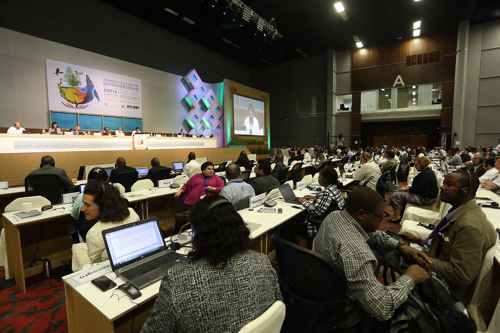 cop13-alberto-buitre-blog