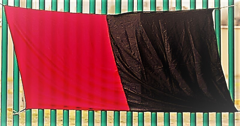 Hacer como los de Nissan: La ruta para cambiar de verdad a&nbsp;México