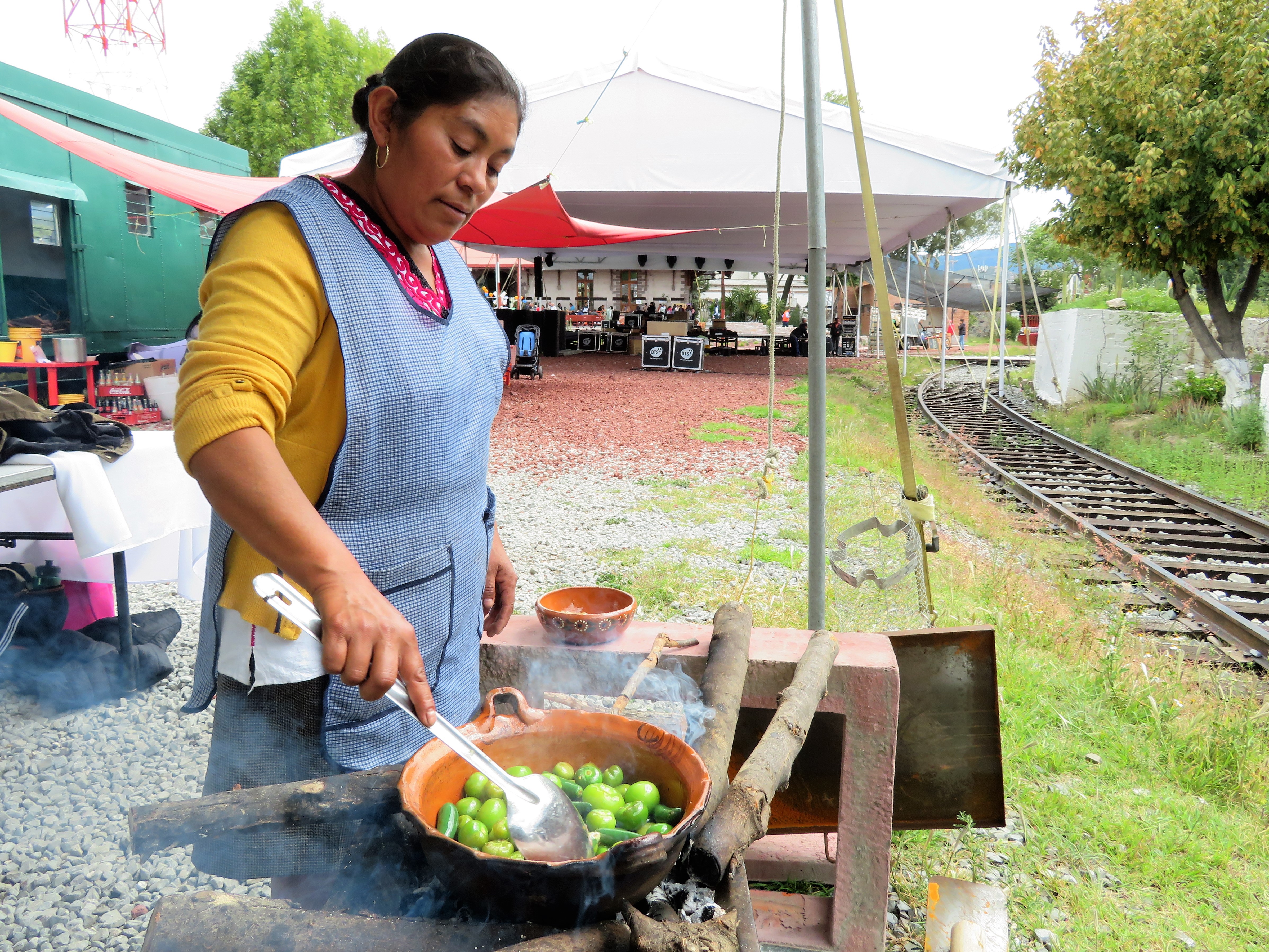 20181019_MUESTRA GRASTRONOMICA HIDALGO_DESDEABAJO (14)